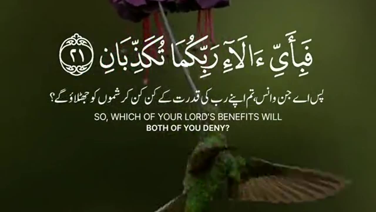 Quran whatsapp status in urdu translation 2