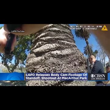 Shooting at the birds