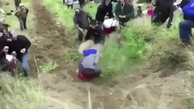 funny different videos from life
