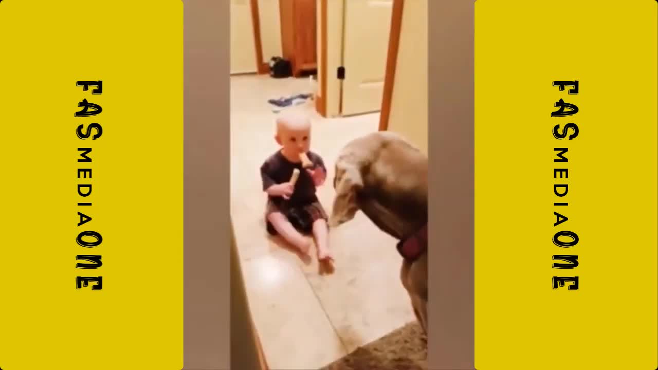 Baby & puppy funny video