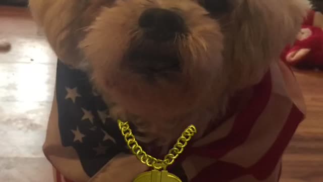 Loulou aka Louis NEWS π° since CNN fake news fruit cakes donβt put true news out πΊπΈπππΊπΈ