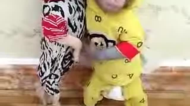 Funny little monkey and puppy collection