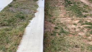 Toddler Discovers Belly Flop Isn't the Best Choice