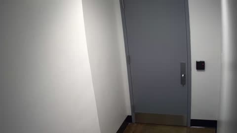 6030RHOBG1G102BEastVestibule_2021-01-06_14h20min02s060ms.mp4