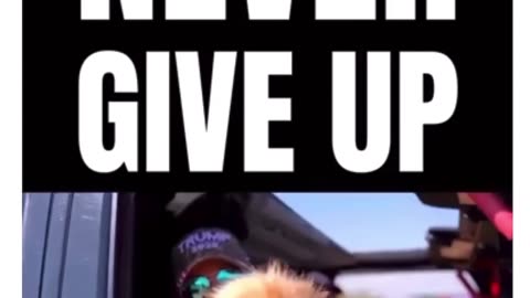Never Give Up