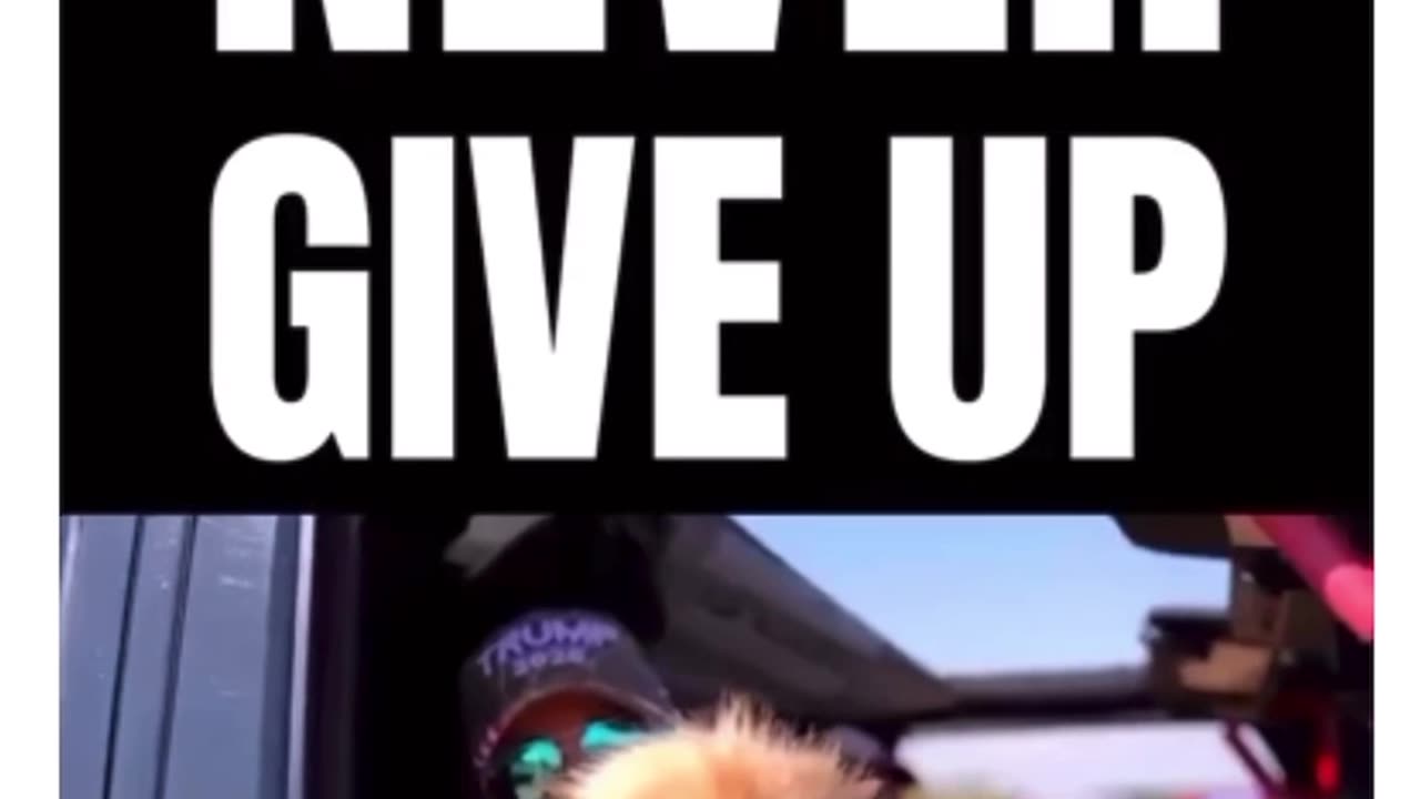 Never Give Up