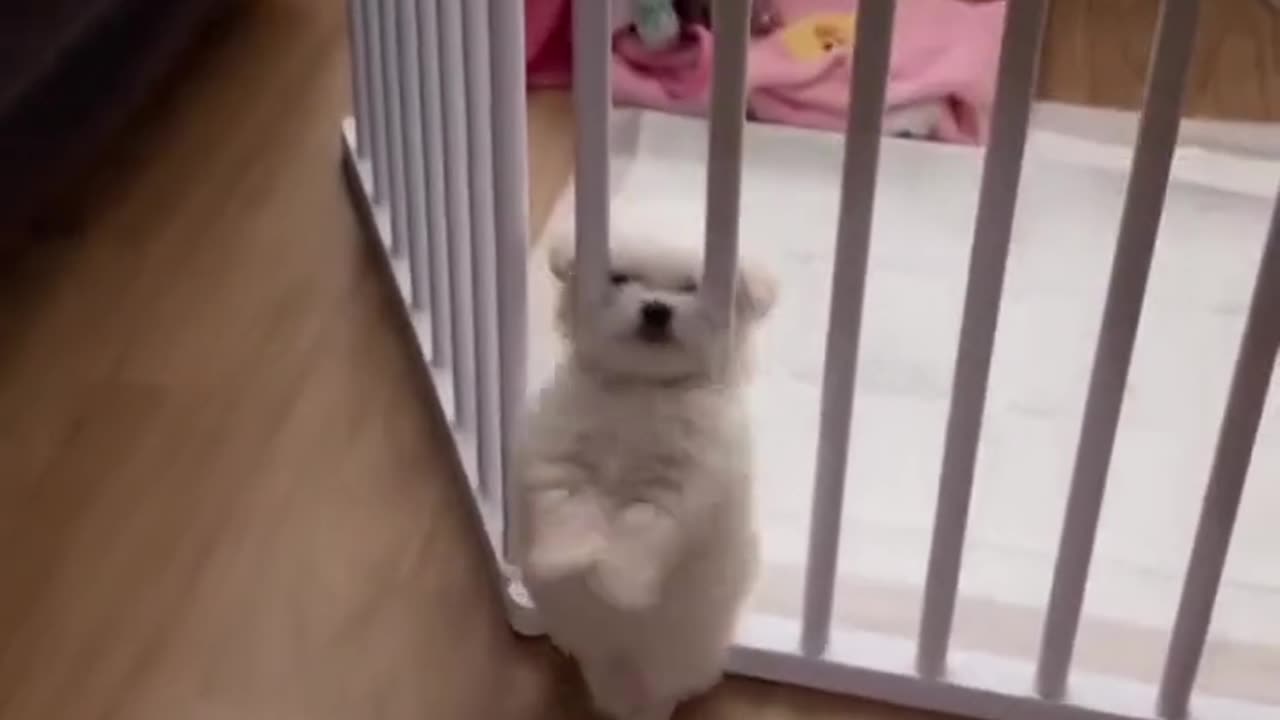 Come here.