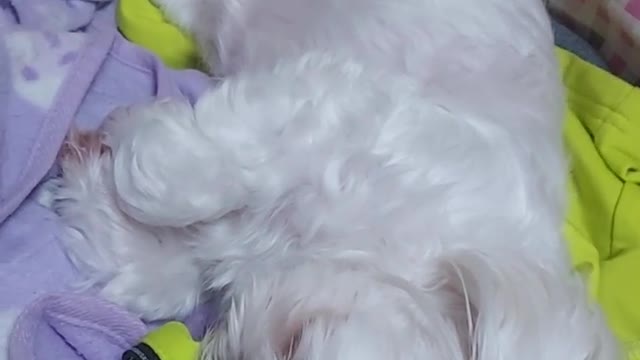 I hate bathing