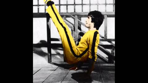 Bruce Lee the Dragon