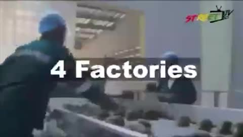 One district, One factory under President Akuffo Addo's gov't