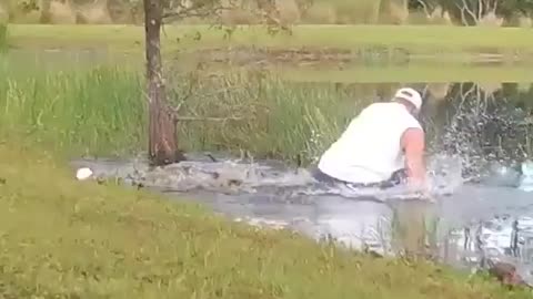 Conservative Cigar smoking bawse saves conservative dog from liberal gator. Dog still fighting.