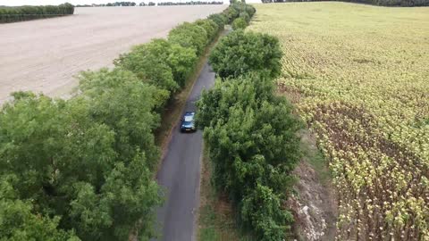 Driving a car on the road between nature