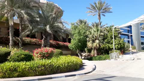 A Glimpse of Wild Wadi Water Park