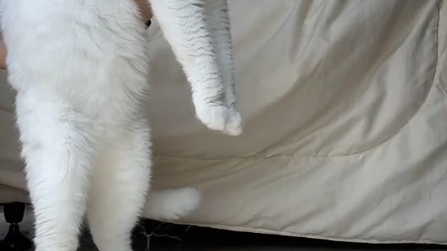 Smooth swings