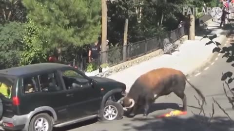 Bull power