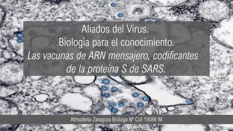ARN mensajero y las sincitinas proteínas retrovirales humanas.