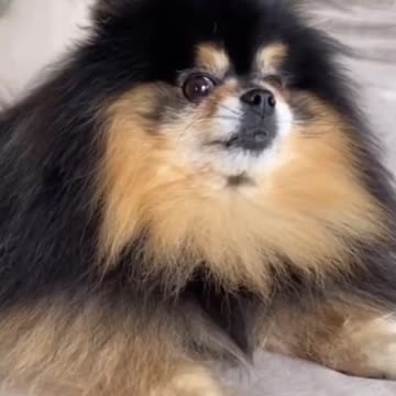 They do be looking good💫😆