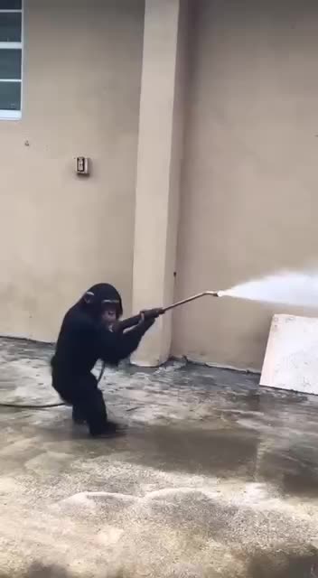 I think I got the hang of this 🤣