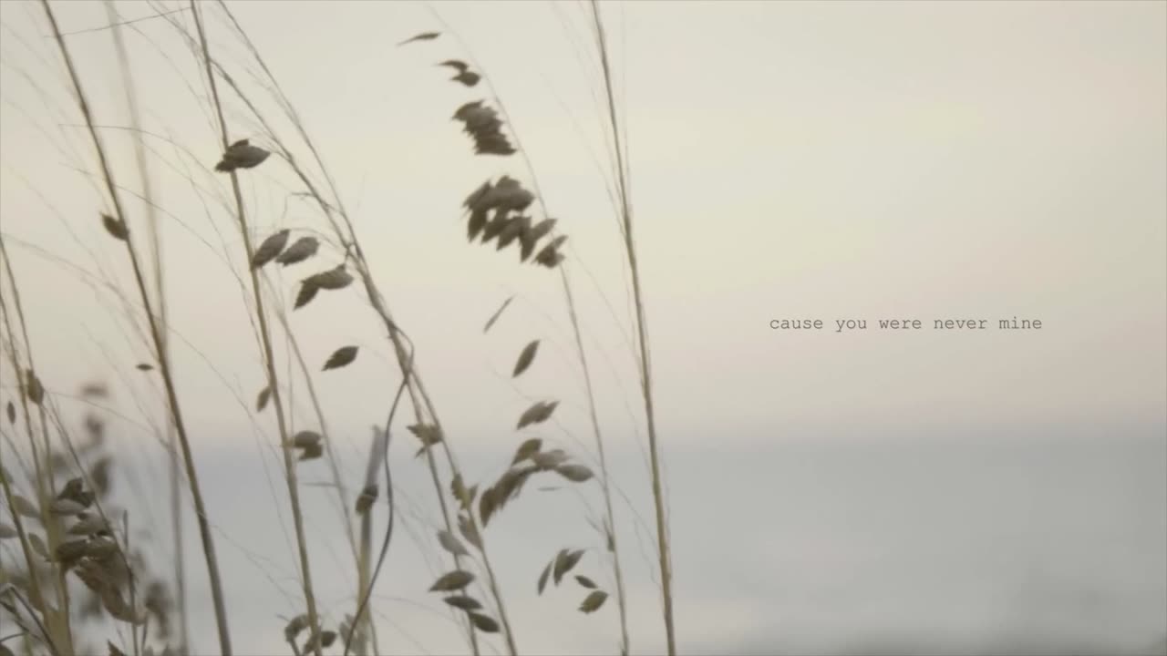 Taylor Swift – august (Lyric Video)