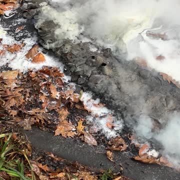 Downed Powerline Aftermath