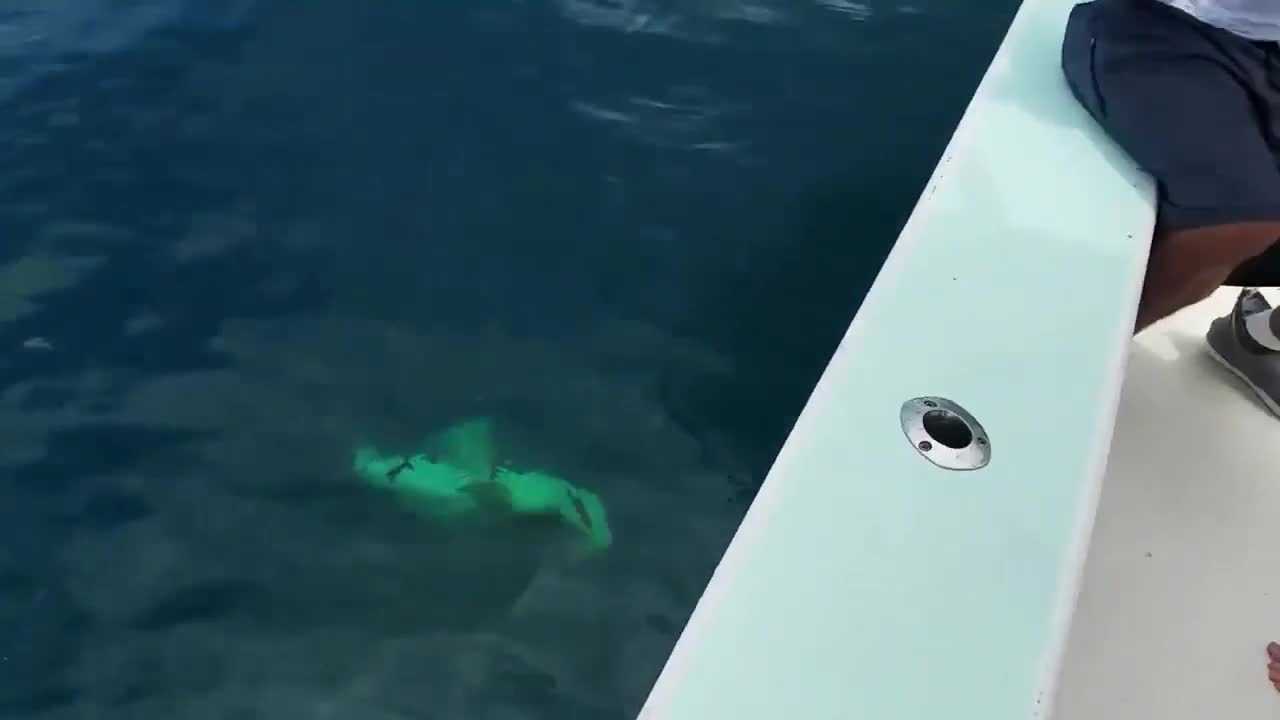 Offshore fishing in general