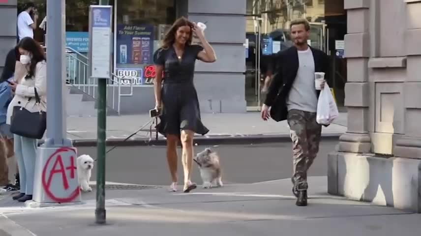 Kelly Bensimon smiles and struts with her dogs and a new friend