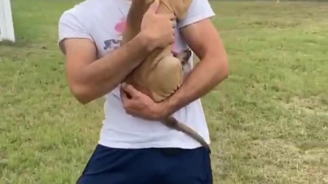 Wonderful Moment Cute Dog Hugs His Owner