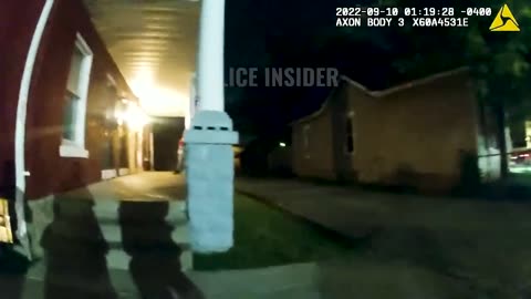 Lady Turns a Ticket into Multiple Felonies
