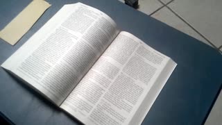Pg. 999, Matt 27-28