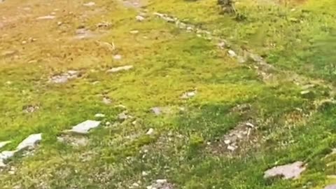 Nature… learn its laws!