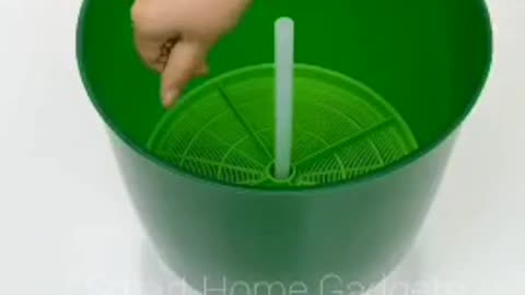 Fresh Sprouts Makers Container