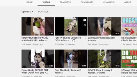 make money with youtube short video