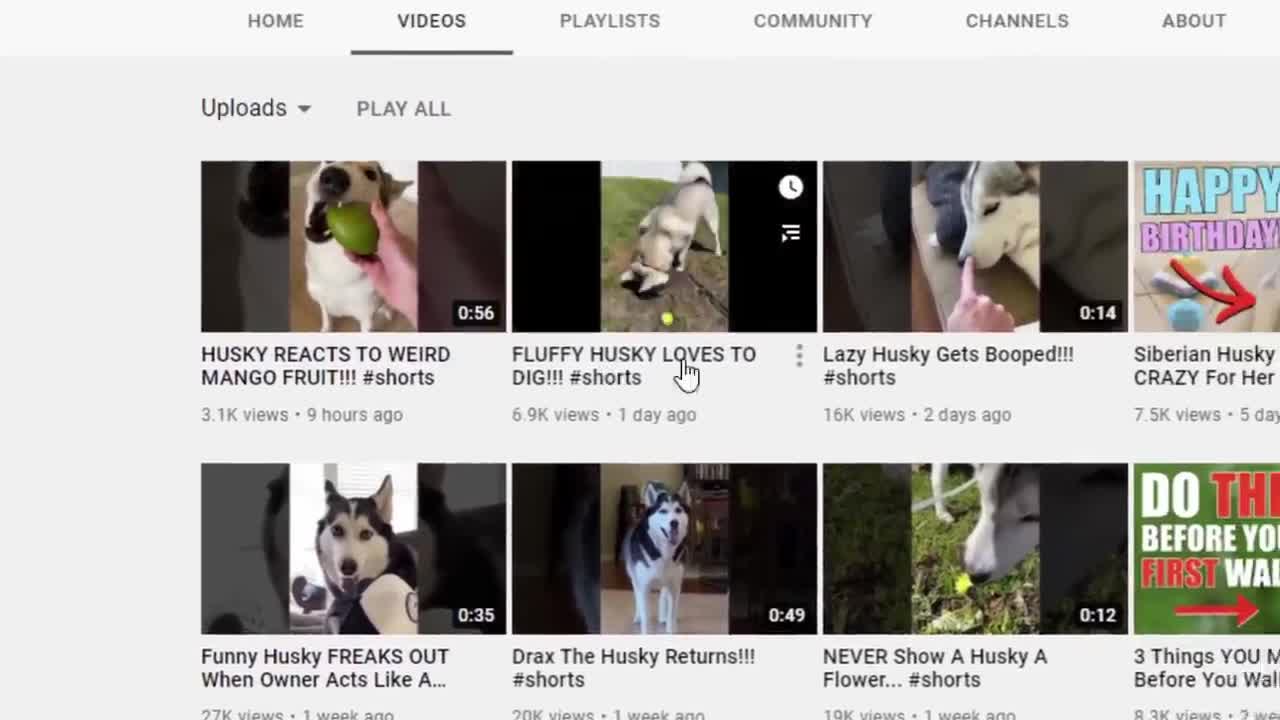 make money with youtube short video