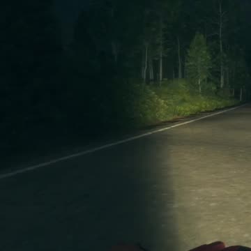 Kitty Cat Toes :) Hunter Call of the Wild