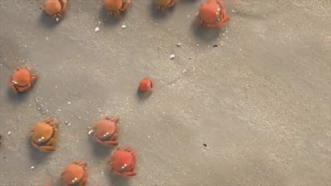 Team Work