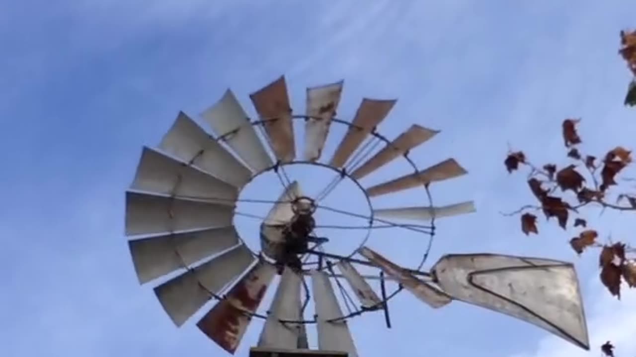 Windmill - Johnson’s Farm - The World Has Turned and left me Here - Weezer