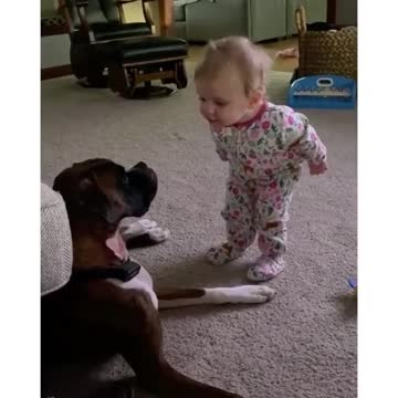 This baby can't stop talking to her doggy best friend