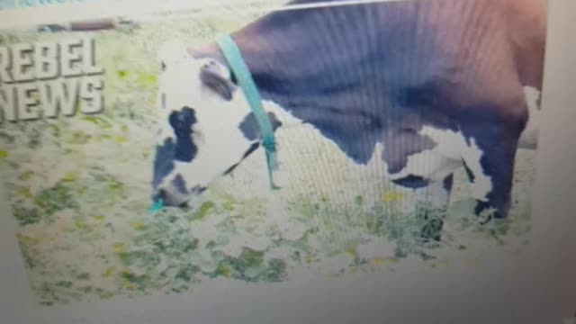 Farmer ordered to stop farming