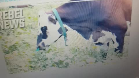 Farmer ordered to stop farming