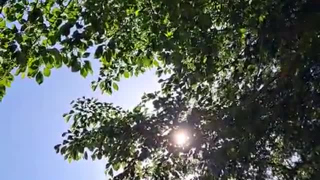 With you in the warm sunshine in Korea