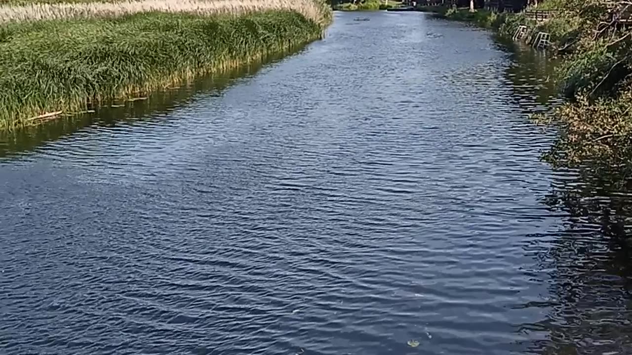 Monkey bridge in Sventoji Lithuania really nice