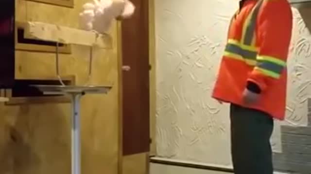Parrot get mad and says F.word to hes owner !!very funny