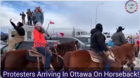 Protesters Arriving In Ottawa On Horseback!