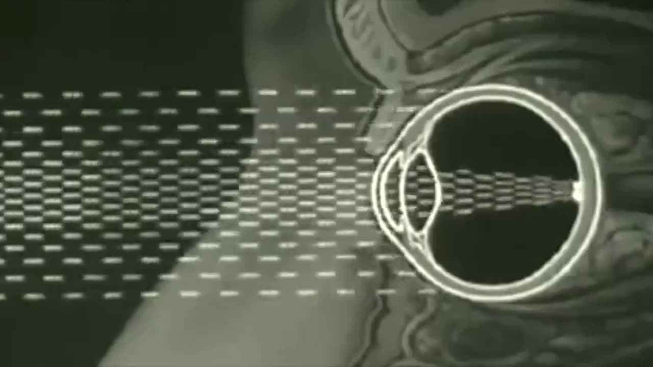 Documentary_ State of Mind, The Psychology of Control