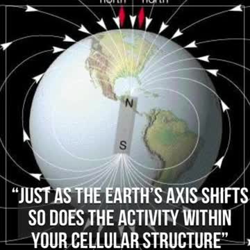 Cellular Polarity Shift