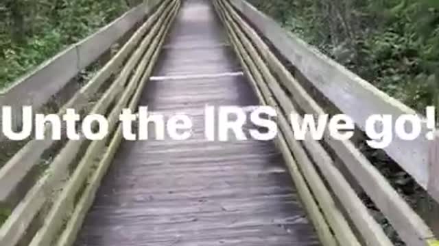 Florida Man ep.2 The Swamp