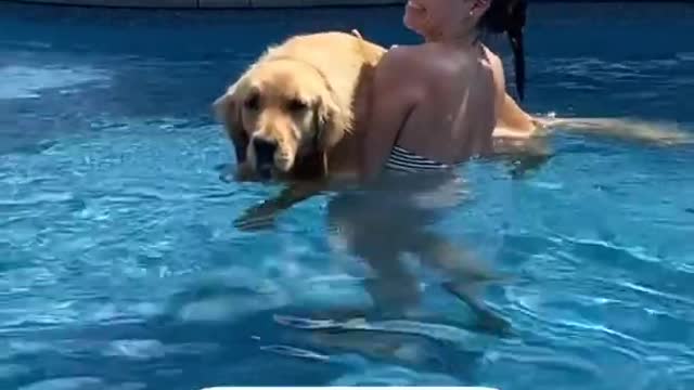 My Dog Wants Help Swimming!