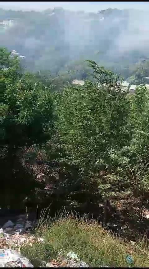 Quema de árboles para instalación de cambuches por invasión en Soledad