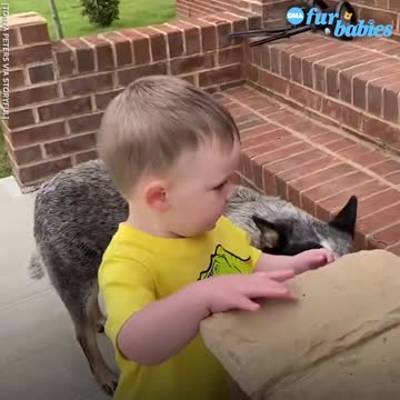 PROTECTIVE PUP PROTECTS TODDLER EVERY STEP OF THE WAY