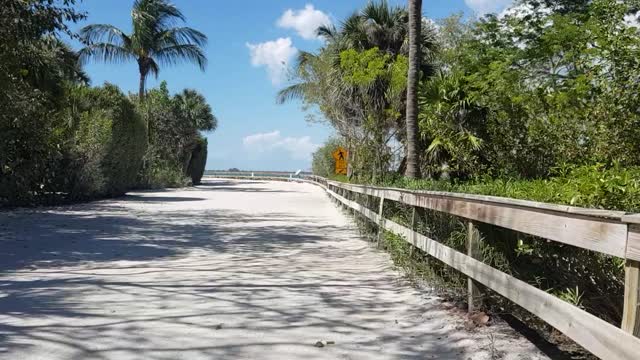 Sanibel Island, FL, Beach Bicycling Exploring 2022-04-16 part 5 of 5